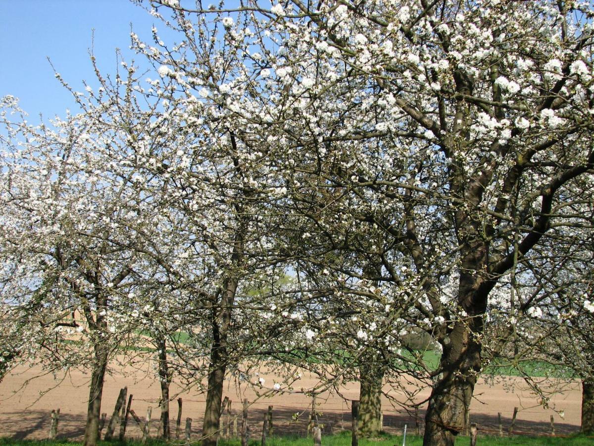 Gite Decouverte Alsace Kuhlendorf Luaran gambar